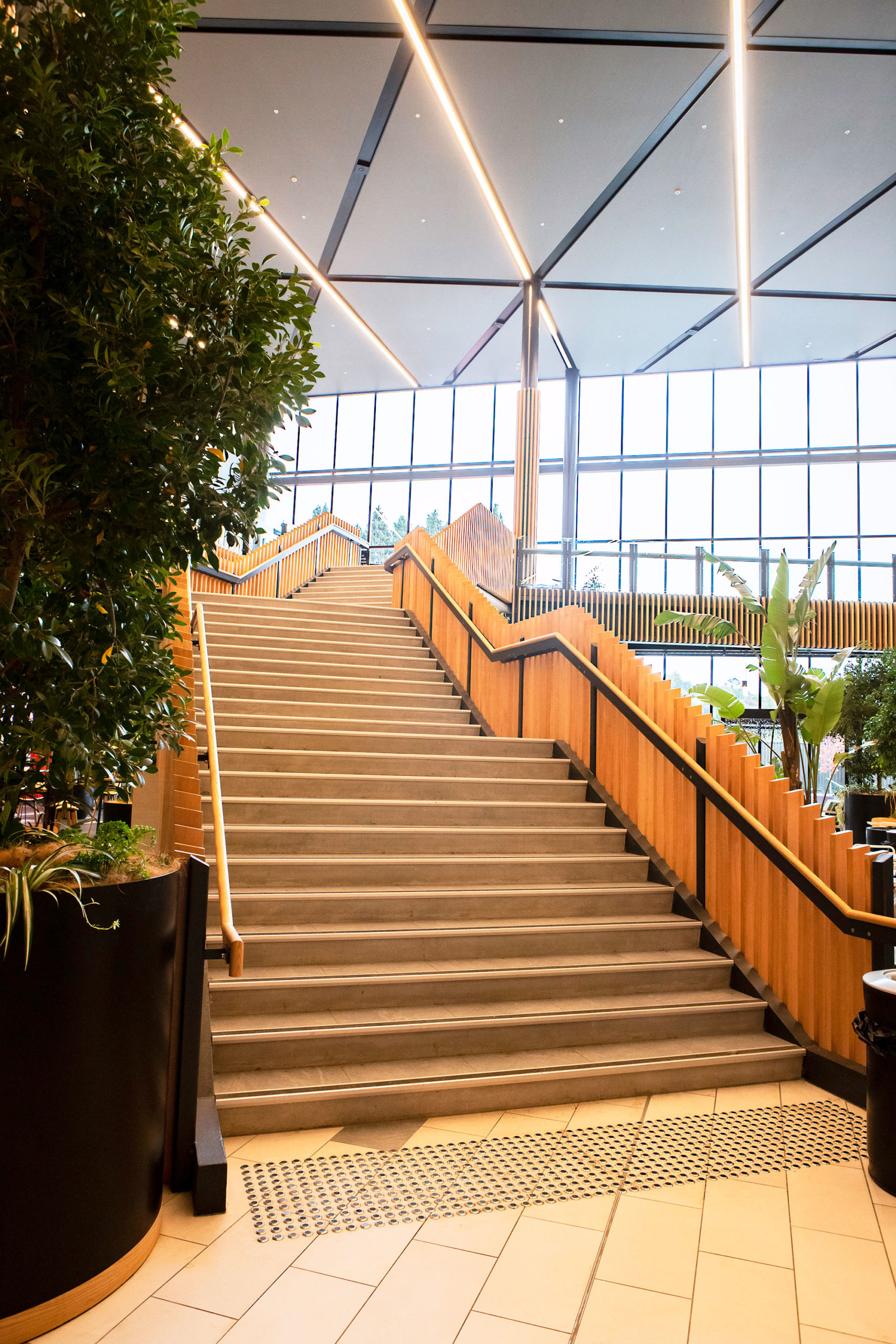 Web-Size-IMG_7165-scaled